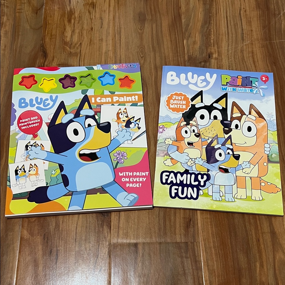 Family Fun Bluey Paint Book Set
